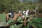 dsc01070a_small.jpg