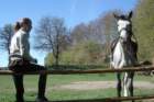 dsc01096a_small.jpg